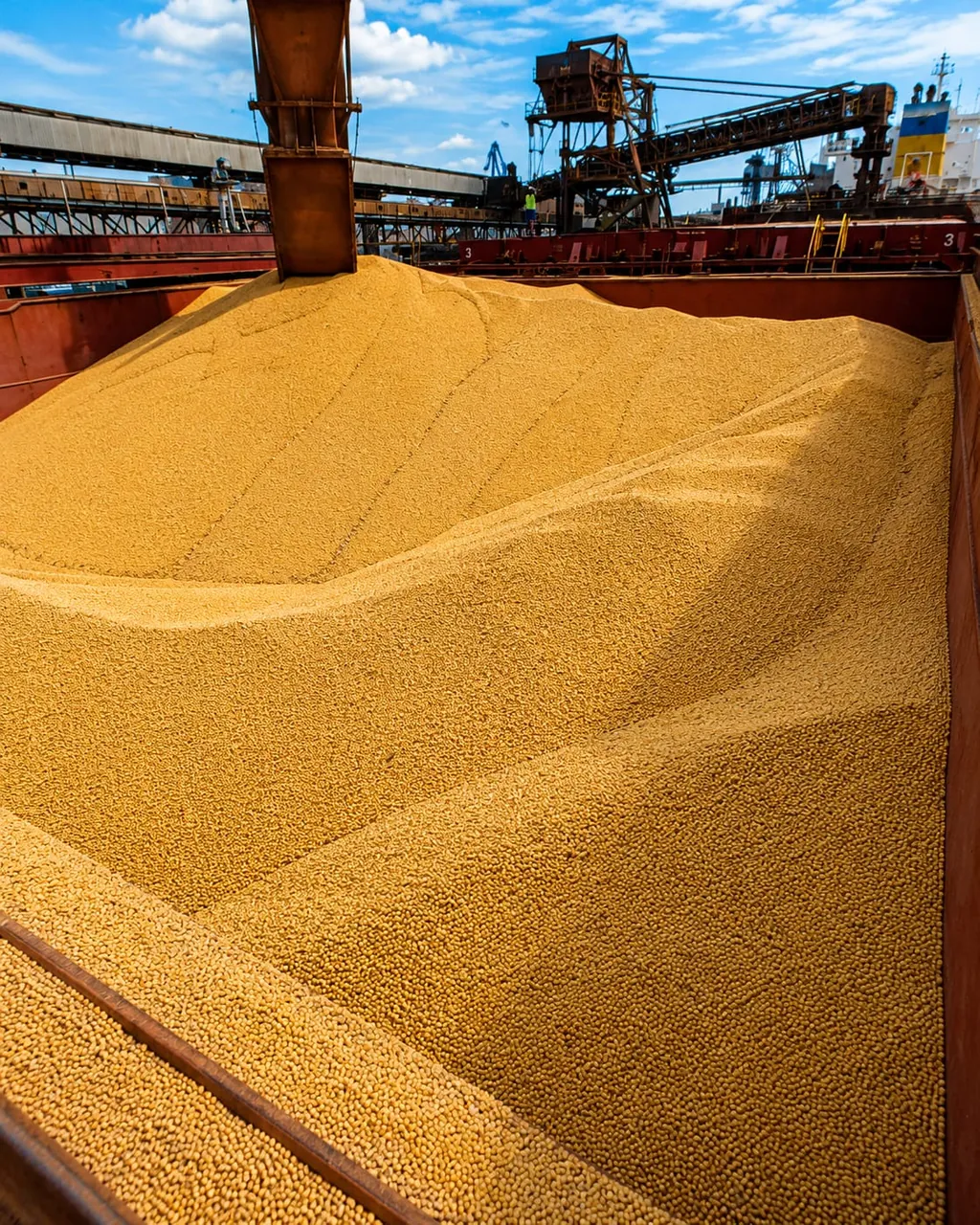 Porão de navio carregado com granel, carregador ao fundo